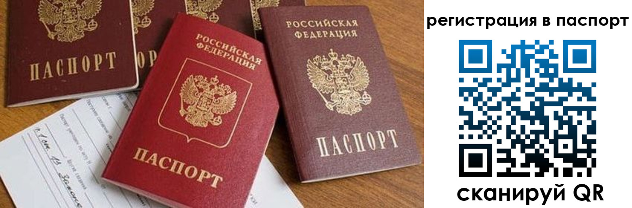 прописка в Белово